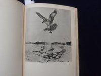 1937 CONCORD RIVER HARDCOVER BOOK BY WILLIAM BREWSTER - KD 8597