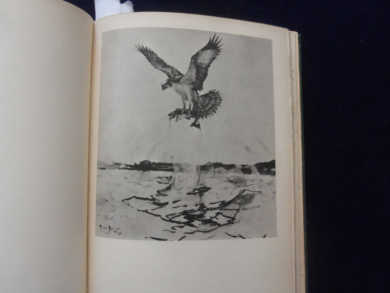 1937 CONCORD RIVER HARDCOVER BOOK BY WILLIAM BREWSTER - KD 8597