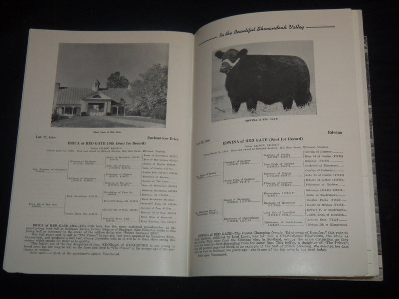 1951-1952 RED GATE FARM PRODUCTION CATTLE SALE CATALOG LOT OF 2 - J 9236