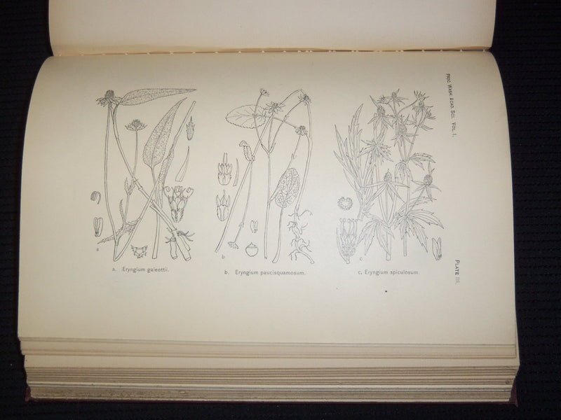 1899-1904 WASHINGTON ACADEMY SCIENCES PROCEEDINGS BOUND VOLUME LOT OF 5 - KD 46