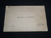 1899 GLIMPSES OF TOPEKA BOOK PUBLISHED BY CHAS B. ARMSTRONG - J 8638