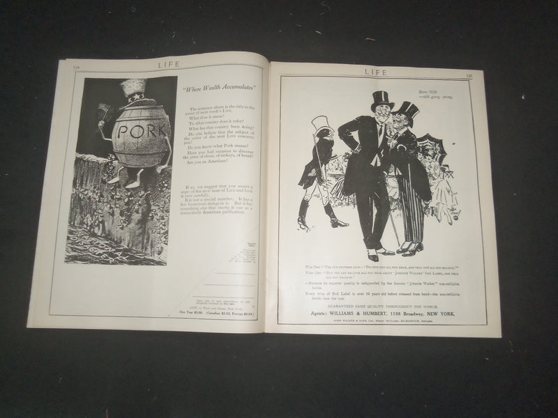 1917 JANUARY 25 LIFE MAGAZINE - PERILS OF THE RAIL - L 764P
