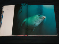 2008 DEEP BLUE UNDERWATER PHOTOGRAPHY OF YASUAKI KAGII HARDCOVER BOOK - R 707X