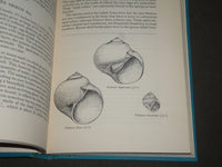 1961 SHELLS OF THE NEW YORK CITY AREA BY JACOBSON & EMERSON - KD 4415