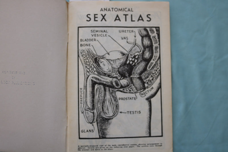 1950'S ANATOMICAL SEX ATLAS SOFTCOVER BOOK BY DAVID KELLER, M.D. - K 3427