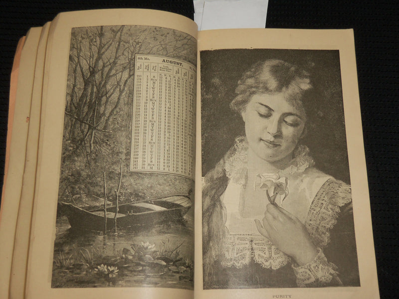 1885 ILLUSTRATED BALTIMORE AMERICAN ALMANAC - SOFTCOVER- J 6863