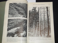 1933 PLANTS OF ROCKY MOUNTAIN NATIONAL PARK BOOK BY RUTH ASHTON - J 7313