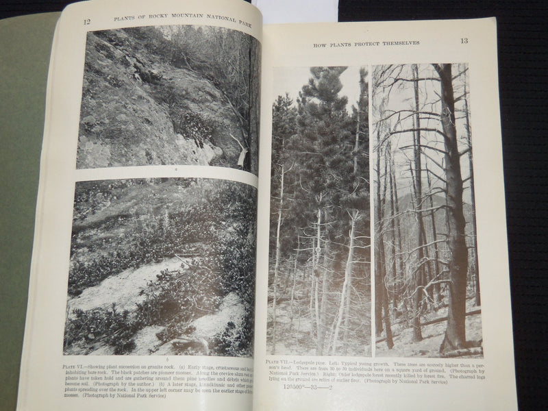 1933 PLANTS OF ROCKY MOUNTAIN NATIONAL PARK BOOK BY RUTH ASHTON - J 7313