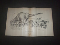 1919 OCTOBER 30 LIFE MAGAZINE - THE NEWS OF THE DAY - L 769Y