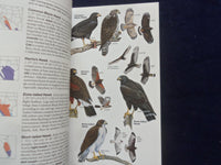 2001-2011 BIRDS OF NORTH AMERICA GUIDE BOOKS - LOT OF 3 - KD 8874