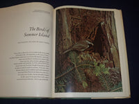 1974 THIS GOOD EARTH BOOK EDITED BY LES LINE - GREAT COLOR PHOTOS - KD 2987