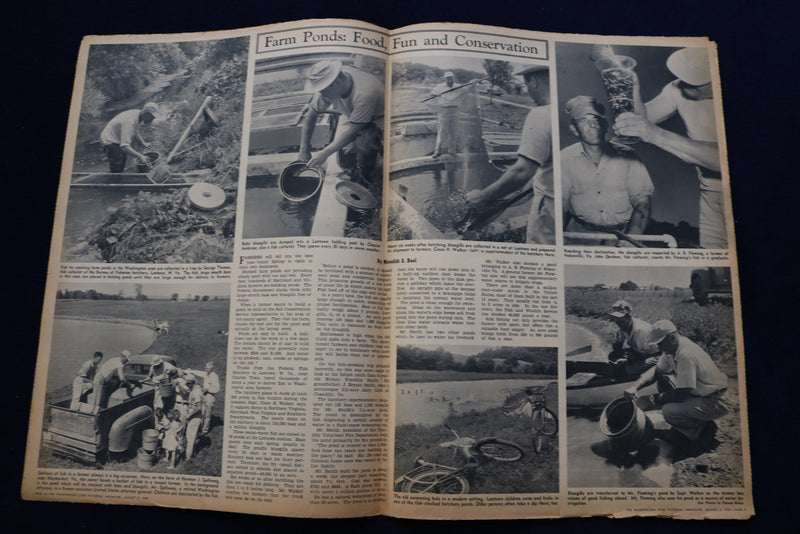1952 AUG 3 WASHINGTON STAR PICTORIAL MAGAZINE - GOOD OL' SUMMERTIME - E 23325