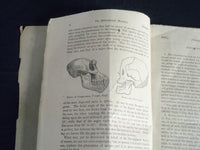 1866 JANUARY AMERICAN EDUCATIONAL MONTHLY MAGAZINE VOLUME 3 NO. 1 - J 4340