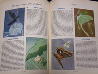 1952 HAMMOND'S NATURE ATLAS OF AMERICA BY E. L. JORDAN W/ 320 PAINTINGS - KD 105