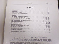 1921 INDISCHE PLASTIK BY WILLIAM COHN BOOK - GREAT PHOTOS - KD 3691