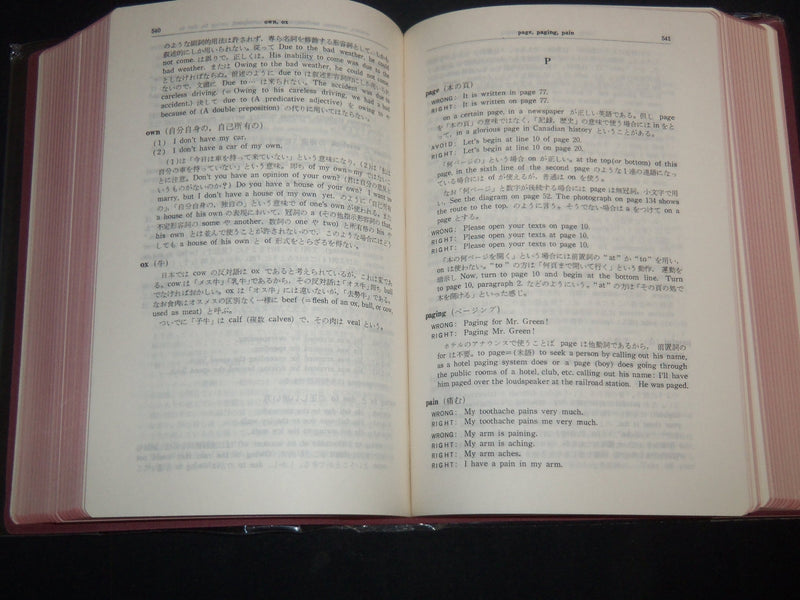 1984 HANDBOOK OF COMMON MISTAKES IN ENGLISH AMONG JAPANESE STUDENTS - KD 5293W