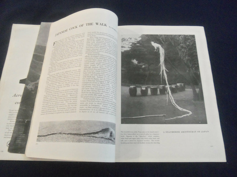 1933 APRIL ASIA MAGAZINE - GREAT PHOTOS, STORIES & ADS - SP 1223L