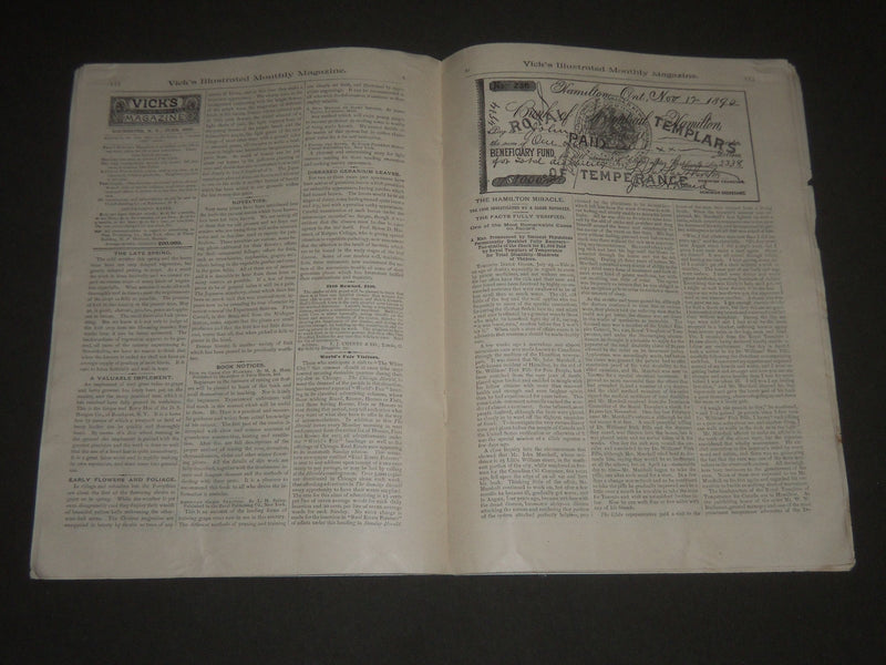 1893 JUNE VICK'S ILLUSTRATED MONTHLY MAGAZINE - ROCHESTER NEW YORK - J 2564
