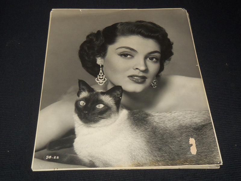 MOVIE ACTRESSES PHOTO LOT OF 3 - 15 1/2 