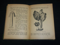 1921 AZ EHETO GOMBAK HARDCOVER BOOK BY DR. BERNATSKY JENO - J 7027