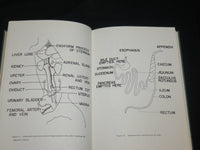 1962 THE RABBIT IN EXPERIMENTAL PHYSIOLOGY BOOK BY HAROLD M. KAPLAN - KD 2765Z