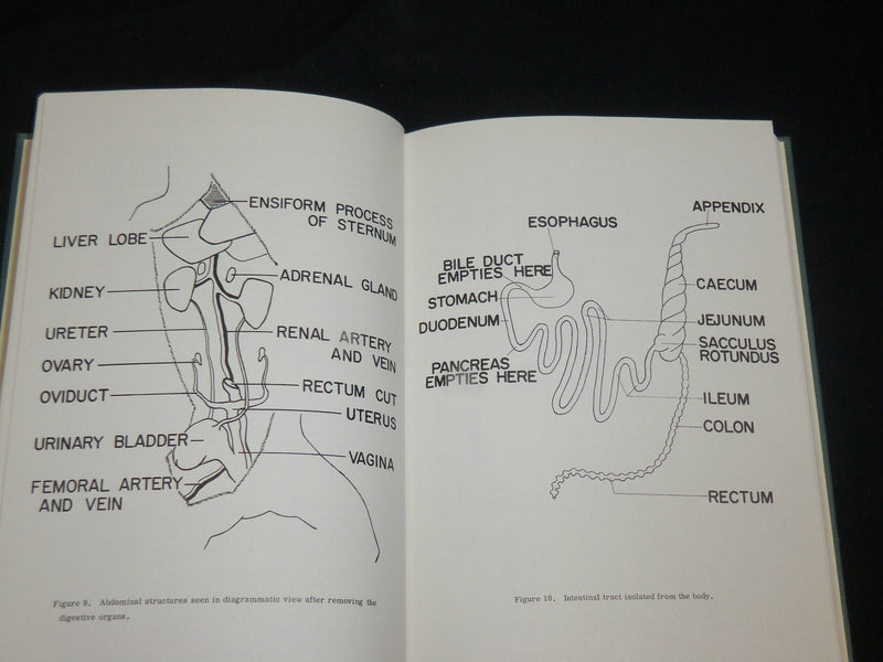 1962 THE RABBIT IN EXPERIMENTAL PHYSIOLOGY BOOK BY HAROLD M. KAPLAN - KD 2765Z