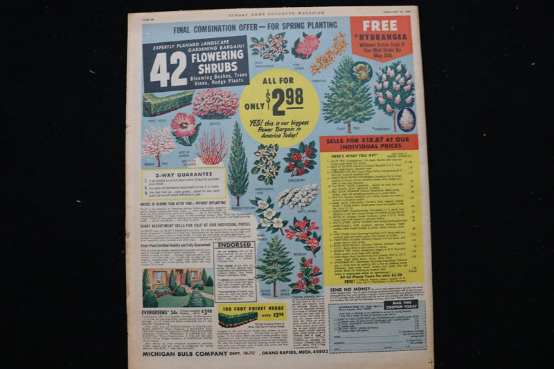 1965 FEB 28 SUNDAY NY NEWS COLOROTO MAGAZINE - ANN SIDNEY COVER - E 25473