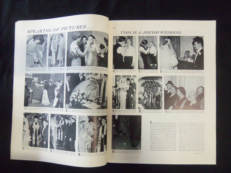 1937 APRIL 5 LIFE MAGAZINE - TERRIER BARKING UP TREE - L 20