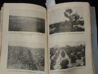 1909 JUNE THE CHAUTAUQUAN MAGAZINE - CONSERVATION NUMBER - K 2652