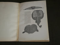 1915 ELECTRIC MOTOR NERVE CELL IN TORPEDOES BOOK BY ULRIC DAHLGREN - J 7115