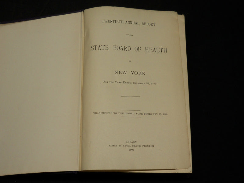 1899 NY STATE DEPARTMENT OF HEALTH 20TH ANNUAL REPORT VOLUME NO. 2 - KD 5898