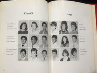 1987 IMPRESSIONS PEQUANNOCK VALLEY SCHOOL YEARBOOK- POMPTON PLAINS, NJ - YB 3165