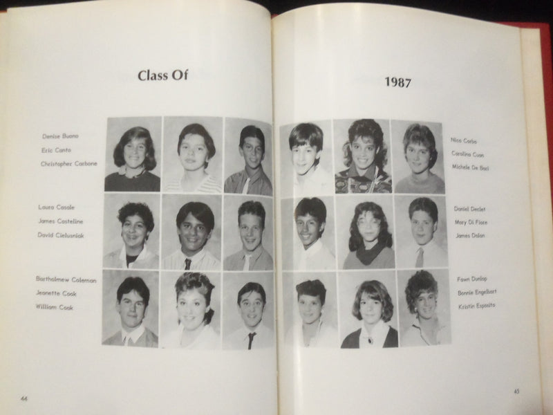 1987 IMPRESSIONS PEQUANNOCK VALLEY SCHOOL YEARBOOK- POMPTON PLAINS, NJ - YB 3165