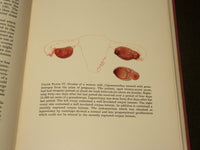 1939 ENDOCRINE GYNECOLOGY BOOK BY E. C. HAMBLEN, M. D. - KD 6134