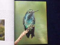 2009 THE COMPLETE BOOK OF HUMMINGBIRDS SOFTCOVER BOOK BY TONY TILFORD - KD 8822