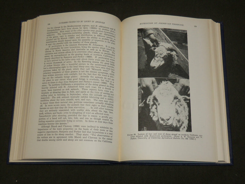 1941 PHOTODYNAMIC ACTION & DISEASES CAUSED BY LIGHT BOOK BY BLUM - KD 6132