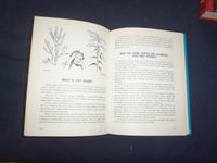 1973-1974 TELL MY WHY HARDCOVER BOOKS BY ARKADY LEOKUM - LOT OF 3 - KD 8184