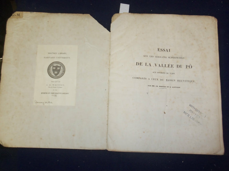 MID 1800'S ESSAI SUR LES TERRAINS SUPERFICIELS DE LA VALLEE DU PO - J 4999B