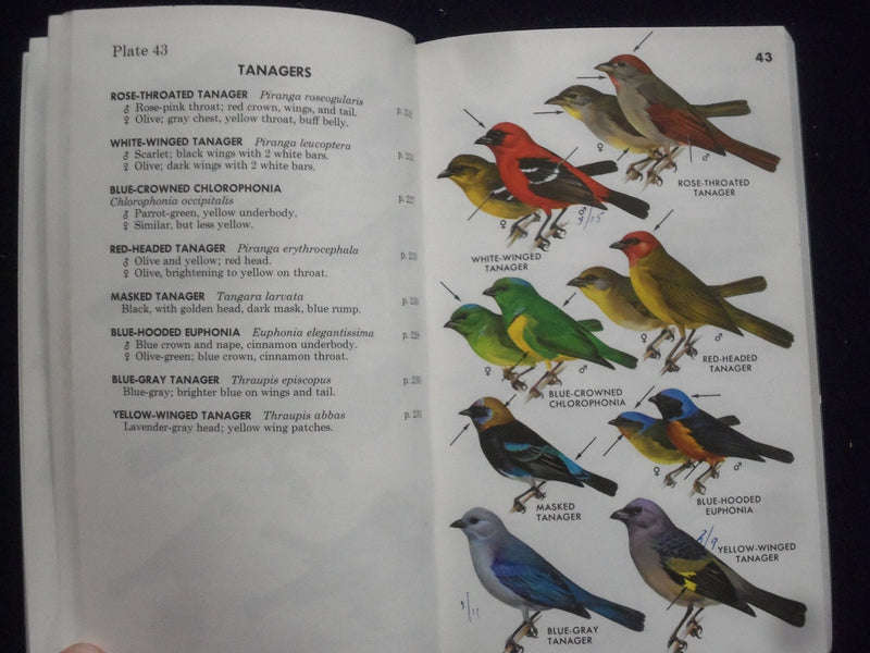 1973 MEXICAN BIRDS SOFTCOVER BOOK - PETERSON FIELD GUIDE - BY PETERSON - J 9364