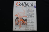1919 MAY 24 COLLIER'S MAGAZINE - A FLAMINGO - E 10952