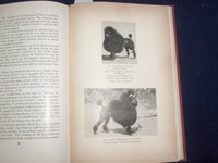 1951 THE COMPLETE POODLE HARDCOVER BOOK BY LYDIA HOPKINS - KD 9091
