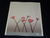 1983 #228 GRAPHIS MAGAZINE VERY NICE COVER ART & INSIDE PAGES - E 847