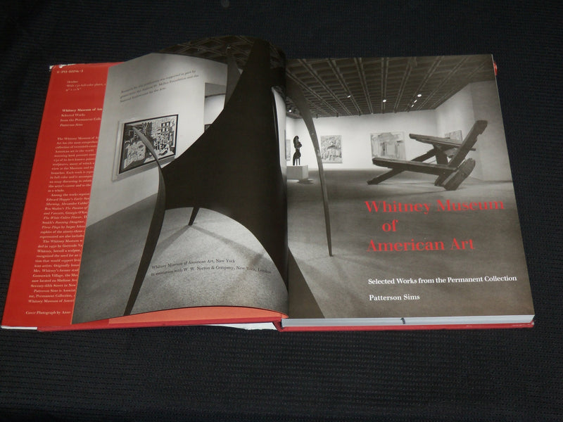 1985 WHITNEY MUSEUM OF AMERICAN ART HARDCOVER BOOK BY PATTERSON SIMS - R 714T