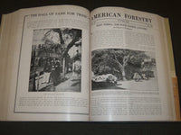 1922 JAN-DEC AMERICAN FORESTRY MAGAZINE BOUND VOLUME - COVERS & ADS - R 403