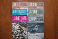 1946-1949 JUNIOR NATURAL HISTORY MAGAZINE - LOT OF 36 - O 3926
