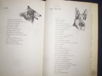 1963 HALO OVER HOLLYWOOD HARDCOVER BOOK BY GEORGE JESSEL - SIGNED - KD 9139