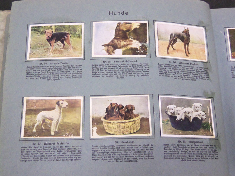 1930'S RICH'S SERIE DANSKE HUSDYR ANIMAL TOBACCO CARDS ALBUM - DANISH - KD 3183