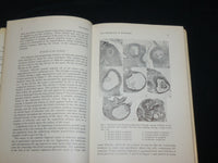 1966 OVULATION BOOK EDITED BY ROBERT B. GREENBLATT, M. D. - KD 2762Y