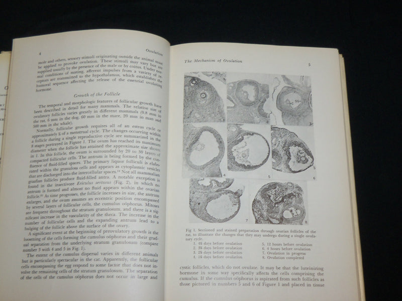 1966 OVULATION BOOK EDITED BY ROBERT B. GREENBLATT, M. D. - KD 2762Y