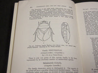 1923 GUIDE TO THE INSECTS OF CONNECTICUT BULLETIN NO. 34 - NICE ILLUS. - KD 988